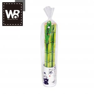 貓熊木頭竹子鉛筆12支入筆筒組